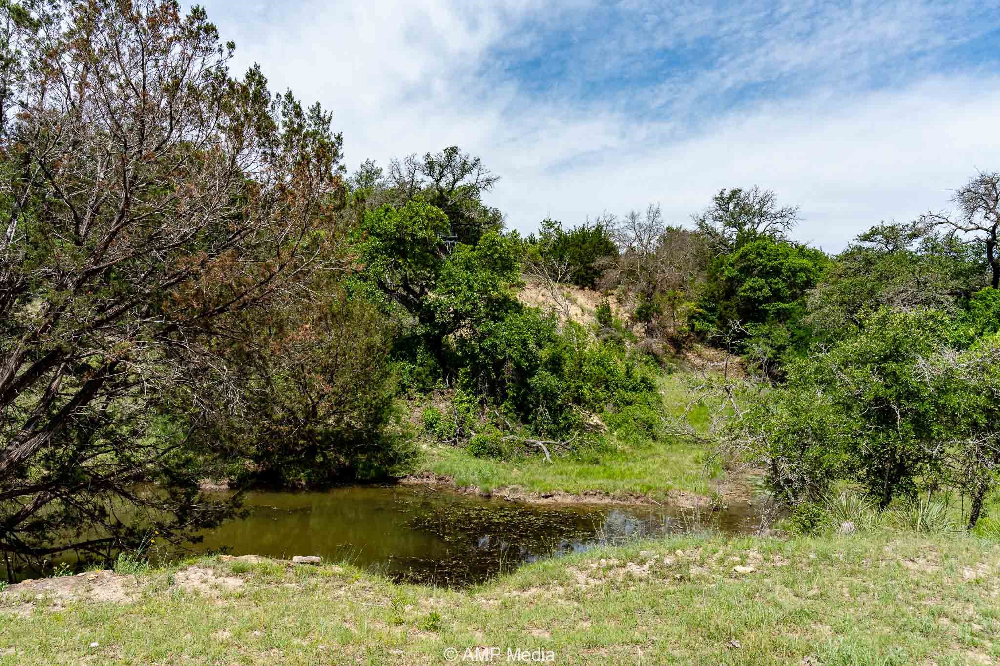 17921 Tx-16 , Comanche, TX, 76442 | 20811111 | Realty Texas LLC