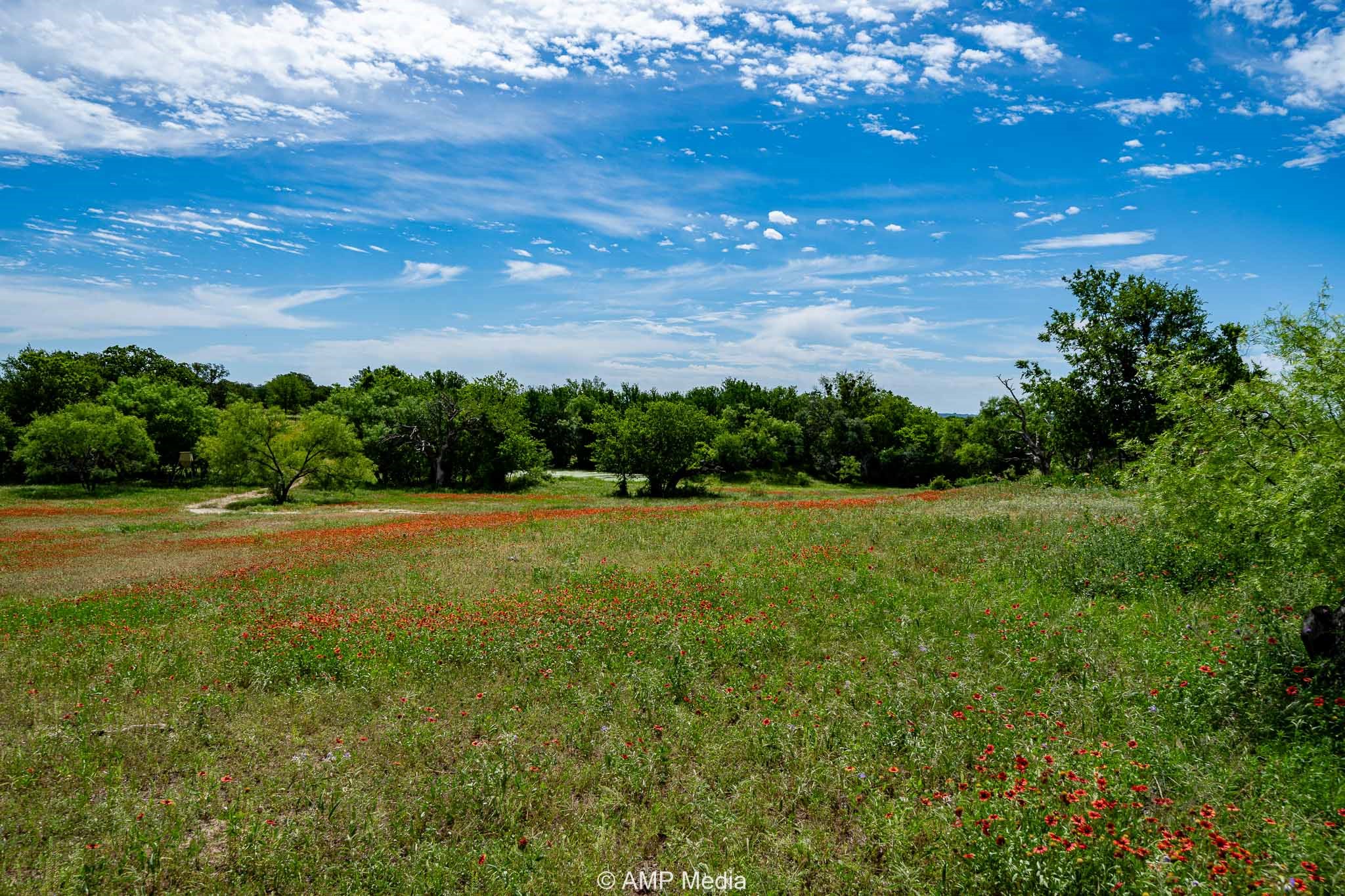 17921 Tx-16 , Comanche, TX, 76442 | 20811111 | Realty Texas LLC