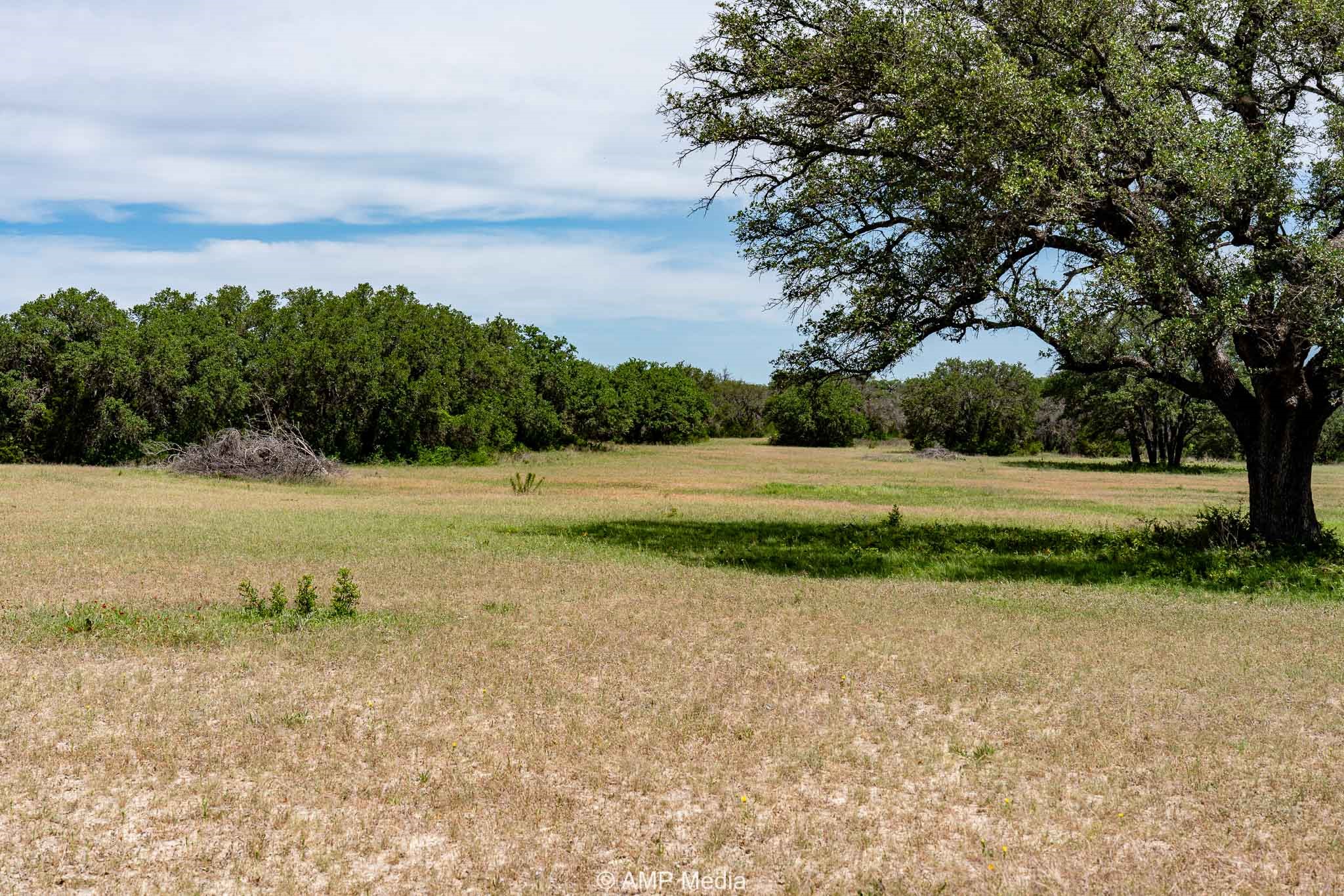 17921 Tx-16 , Comanche, TX, 76442 | 20811111 | Realty Texas LLC