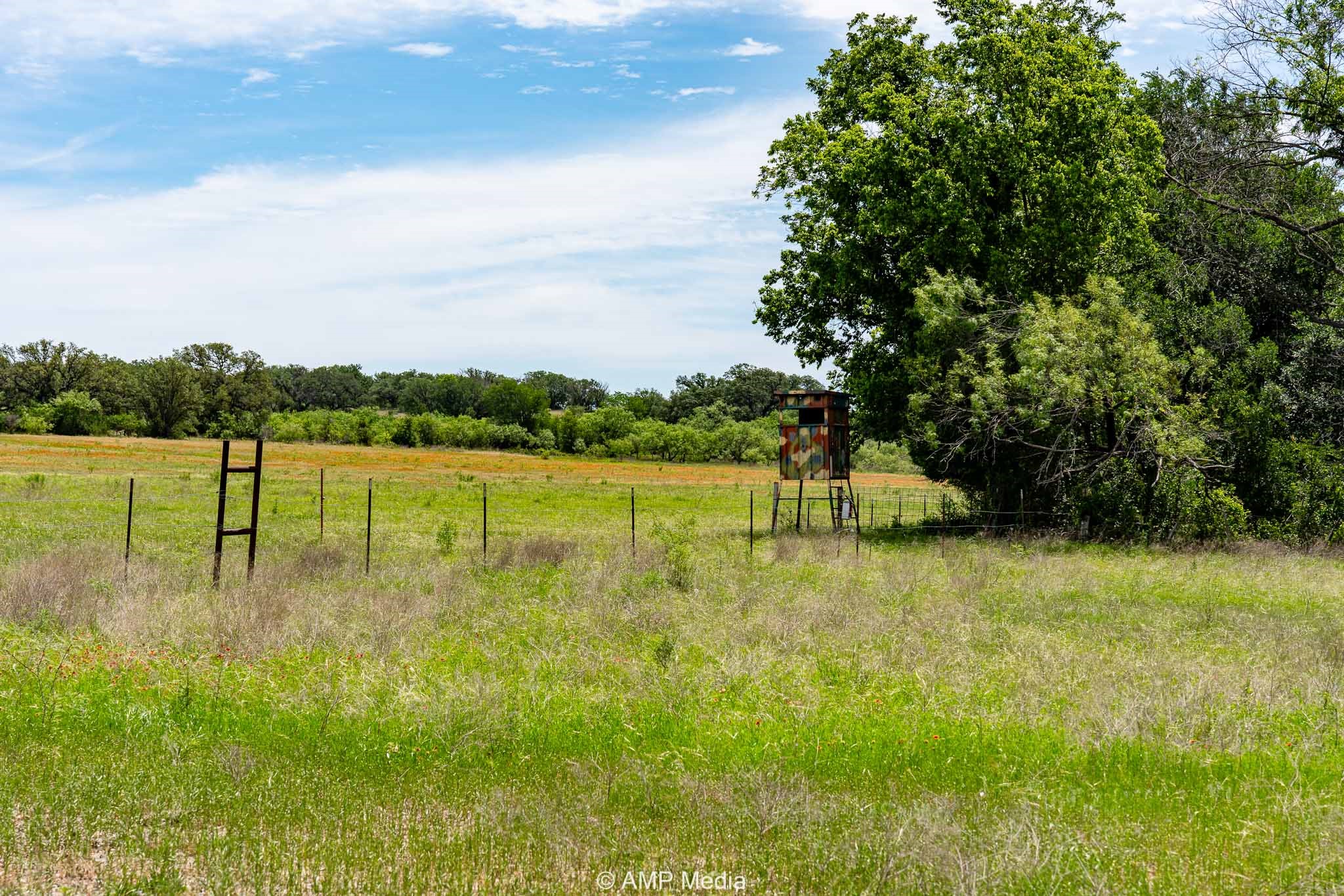 17921 Tx-16 , Comanche, TX, 76442 | 20811111 | Realty Texas LLC