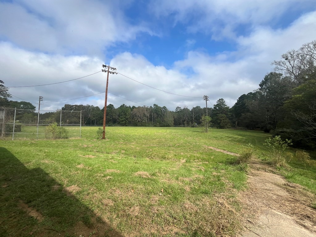 215 Buchanan Street, Broaddus, TX, 75929 | 67918763 | Realty Texas LLC