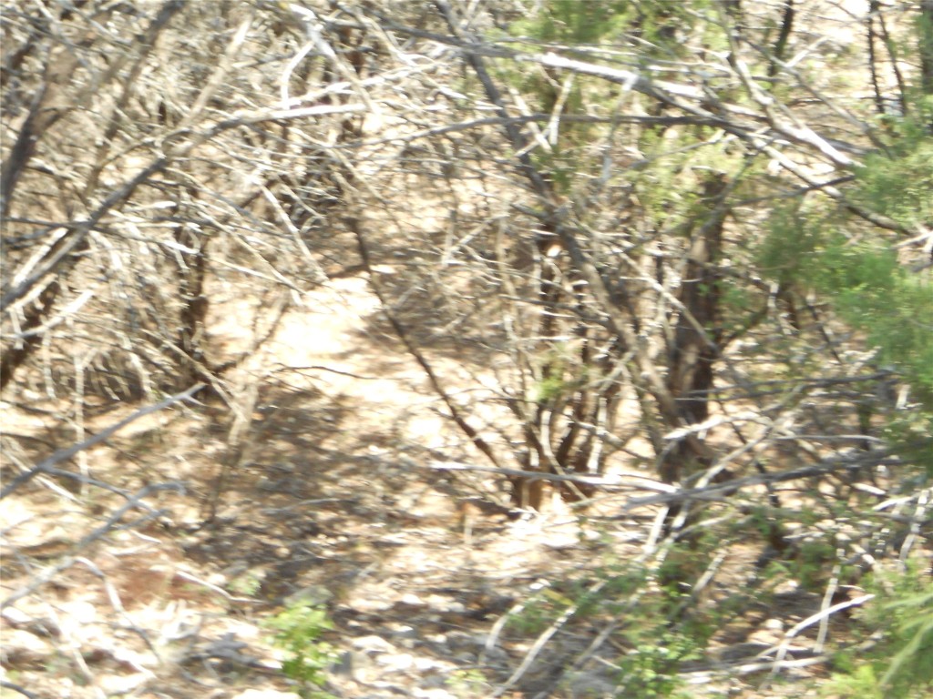 21000 High Drive, Lago Vista, TX, 78645 | 1649476 | Realty Texas LLC