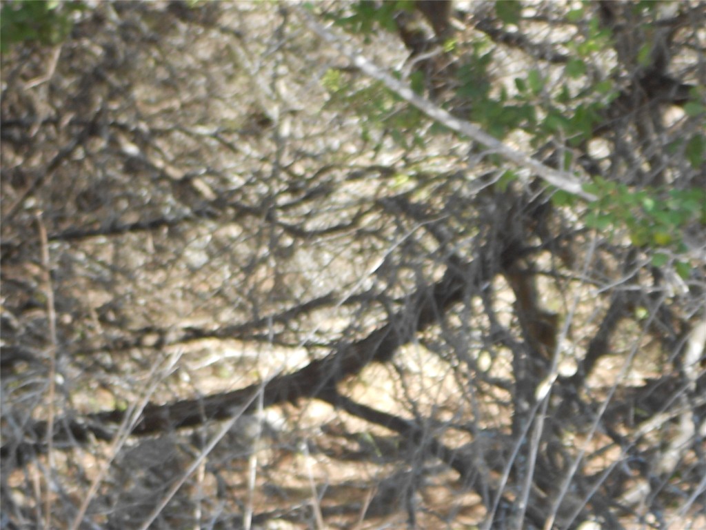 21000 High Drive, Lago Vista, TX, 78645 | 1649476 | Realty Texas LLC