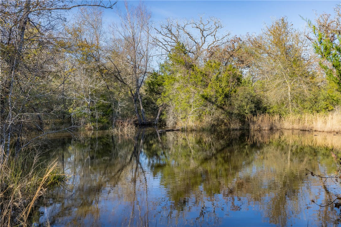 TBD Largo Lane , Madisonville, TX, 77786 | 25000288 | Realty Texas LLC