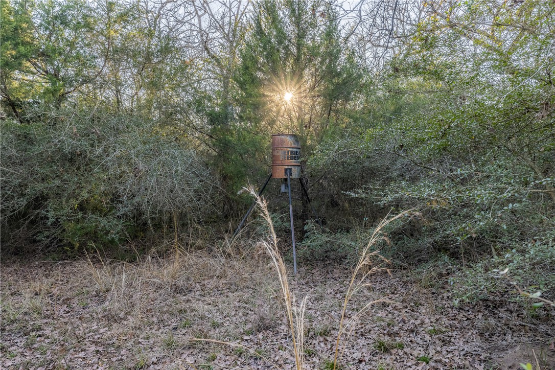 TBD Largo Lane , Madisonville, TX, 77786 | 25000288 | Realty Texas LLC