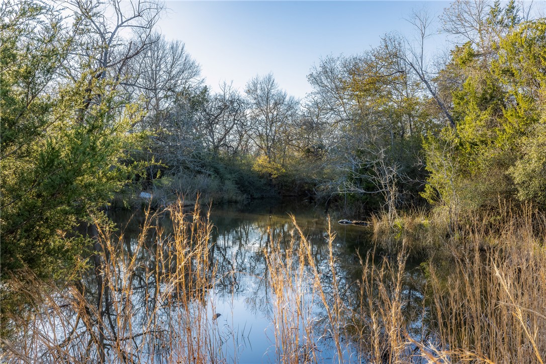 TBD Largo Lane , Madisonville, TX, 77786 | 25000288 | Realty Texas LLC