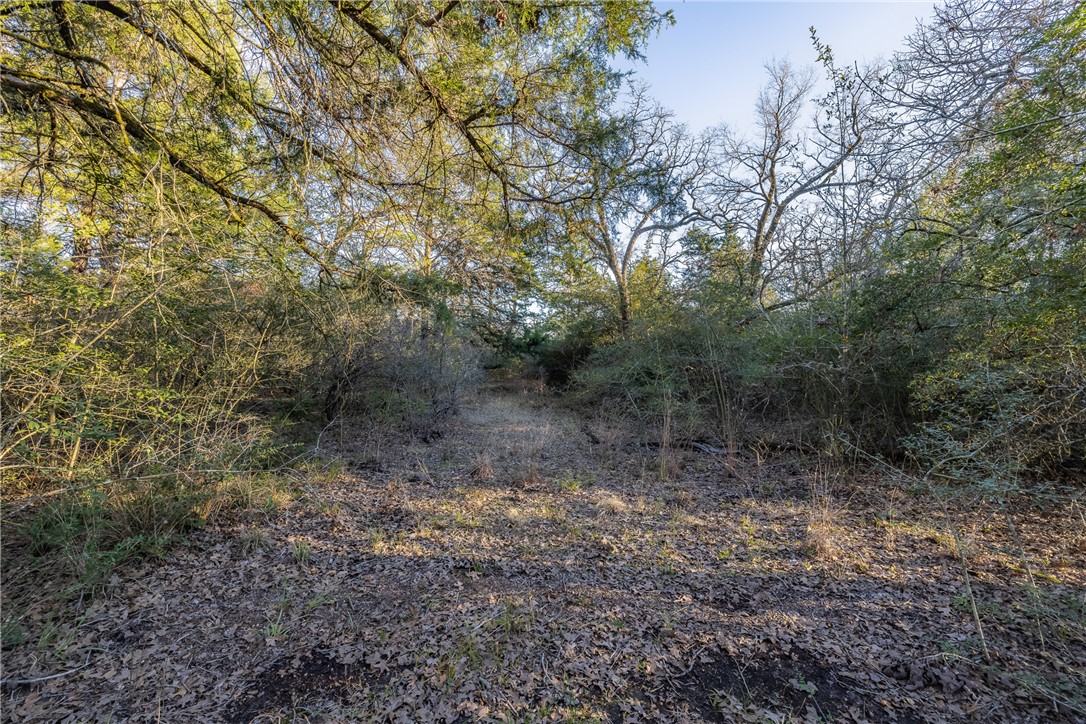 TBD Largo Lane , Madisonville, TX, 77786 | 25000288 | Realty Texas LLC