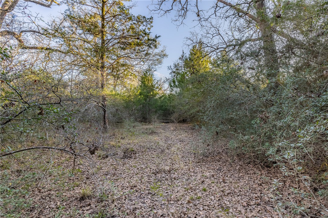 TBD Largo Lane , Madisonville, TX, 77786 | 25000288 | Realty Texas LLC