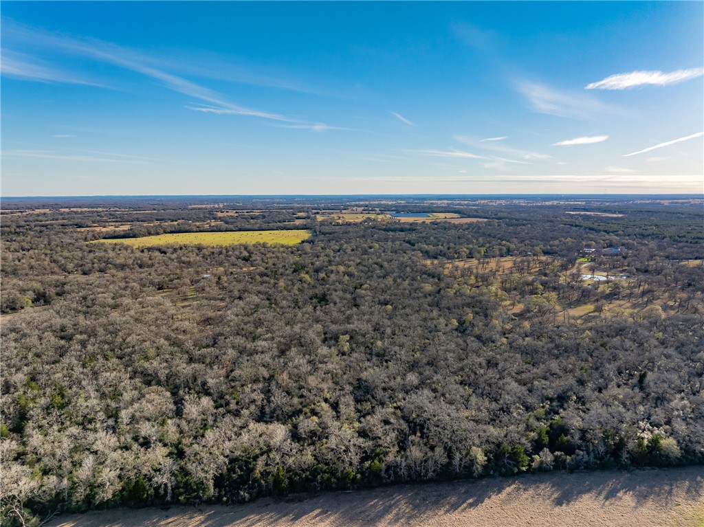 TBD Largo Lane , Madisonville, TX, 77786 | 25000288 | Realty Texas LLC