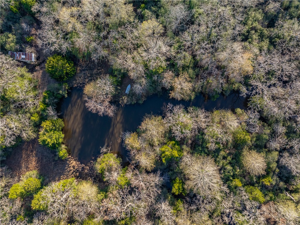 TBD Largo Lane , Madisonville, TX, 77786 | 25000288 | Realty Texas LLC
