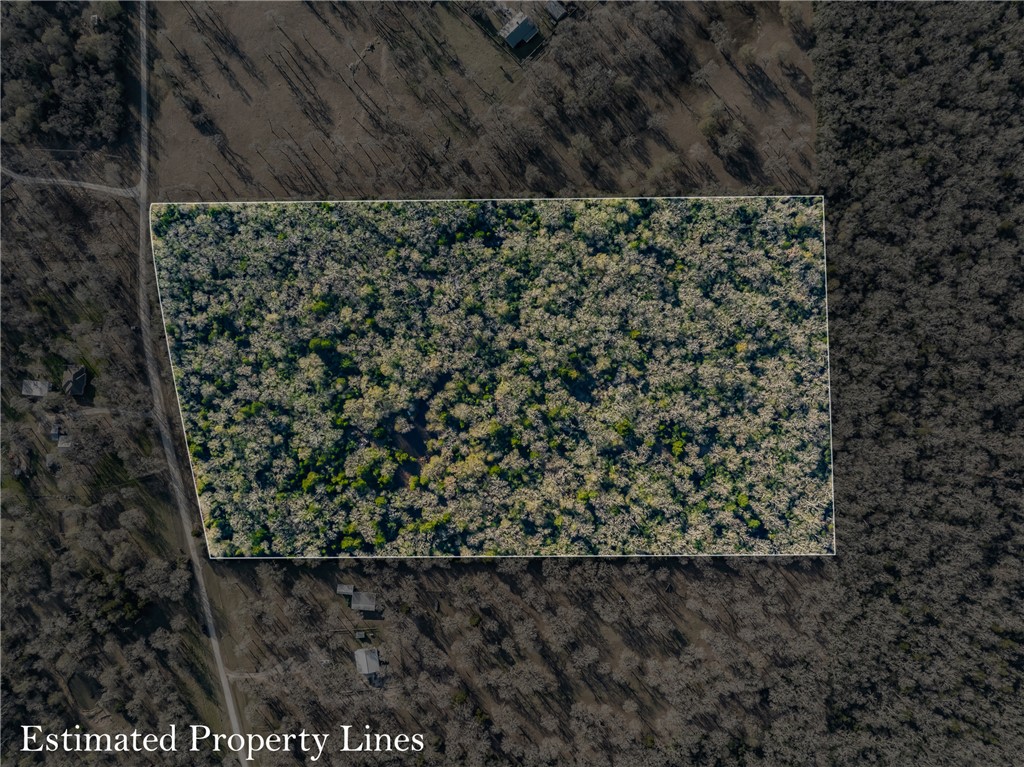 TBD Largo Lane , Madisonville, TX, 77786 | 25000288 | Realty Texas LLC