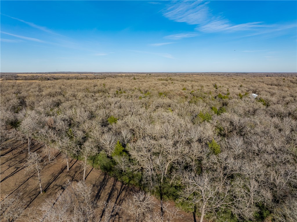 TBD Largo Lane , Madisonville, TX, 77786 | 25000288 | Realty Texas LLC