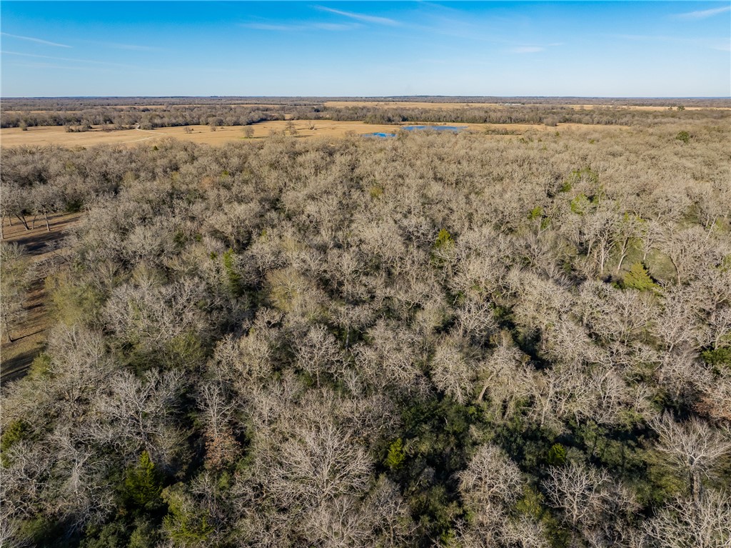 TBD Largo Lane , Madisonville, TX, 77786 | 25000288 | Realty Texas LLC