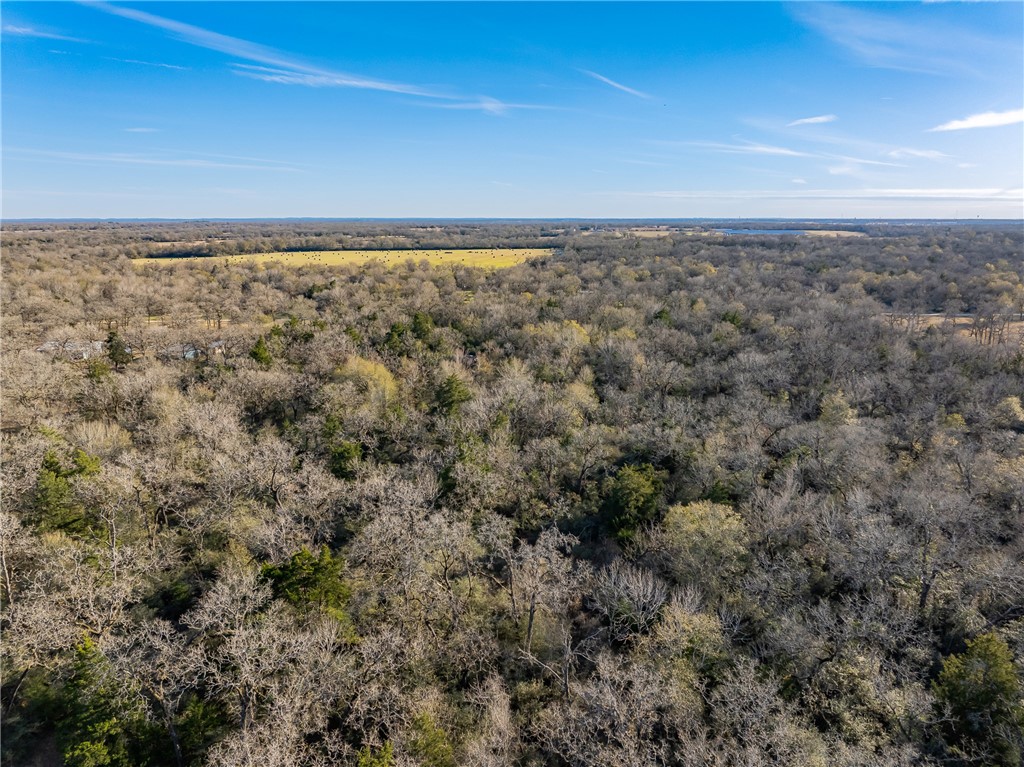 TBD Largo Lane , Madisonville, TX, 77786 | 25000288 | Realty Texas LLC