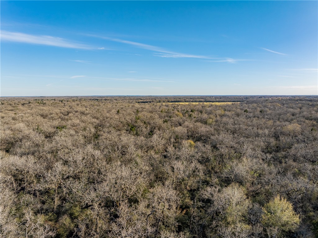 TBD Largo Lane , Madisonville, TX, 77786 | 25000288 | Realty Texas LLC