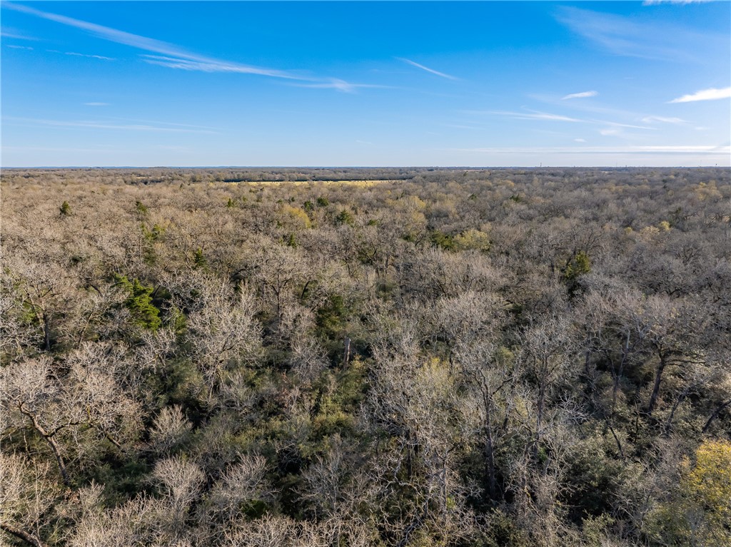 TBD Largo Lane , Madisonville, TX, 77786 | 25000288 | Realty Texas LLC