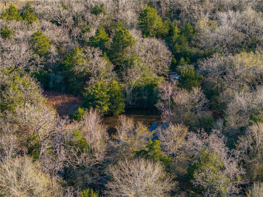 TBD Largo Lane , Madisonville, TX, 77786 | 25000288 | Realty Texas LLC