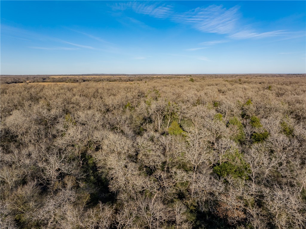 TBD Largo Lane , Madisonville, TX, 77786 | 25000288 | Realty Texas LLC
