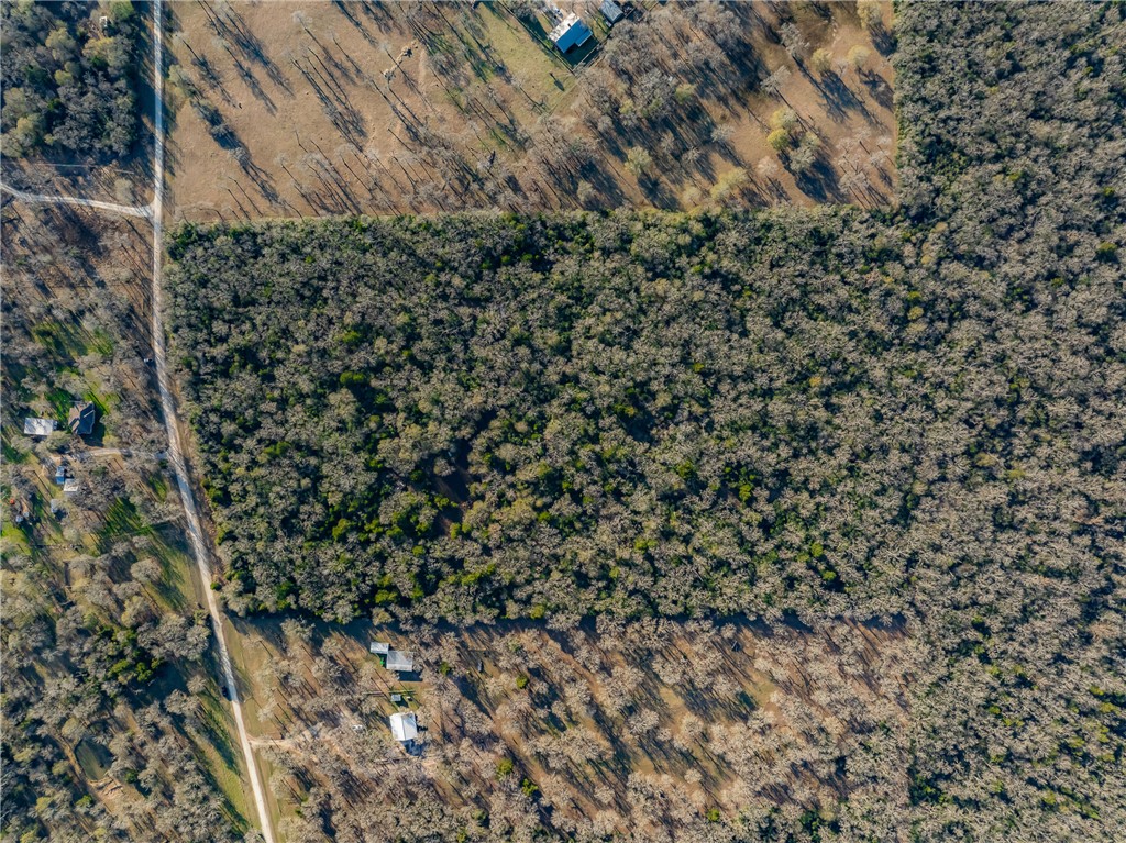 TBD Largo Lane , Madisonville, TX, 77786 | 25000288 | Realty Texas LLC
