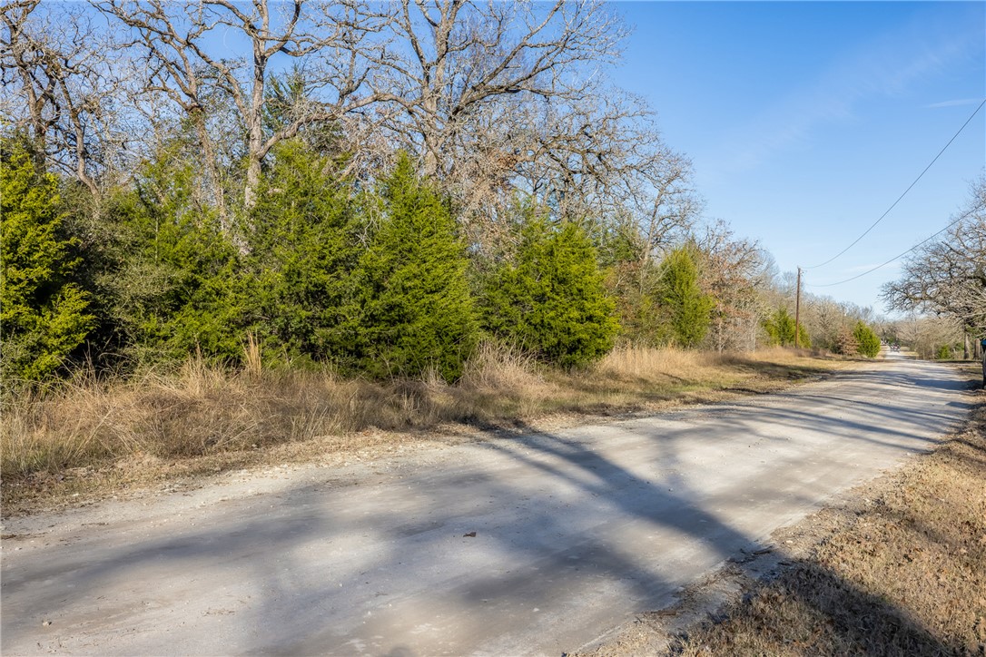 TBD Largo Lane , Madisonville, TX, 77786 | 25000288 | Realty Texas LLC