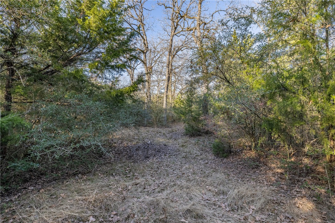 TBD Largo Lane , Madisonville, TX, 77786 | 25000288 | Realty Texas LLC