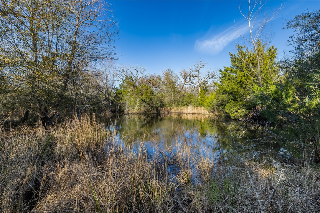 TBD Largo Lane , Madisonville, TX, 77786 | 25000288 | Realty Texas LLC