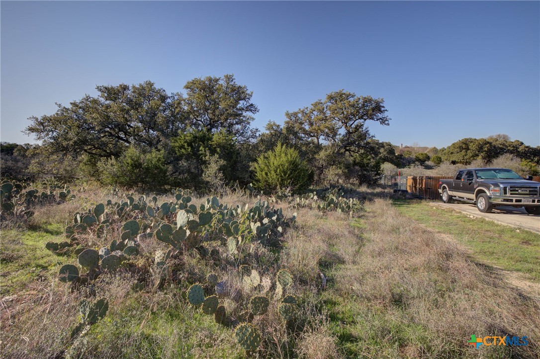 132 Maple Terrace, New Braunfels, TX, 78132 | 566913 | Realty Texas LLC