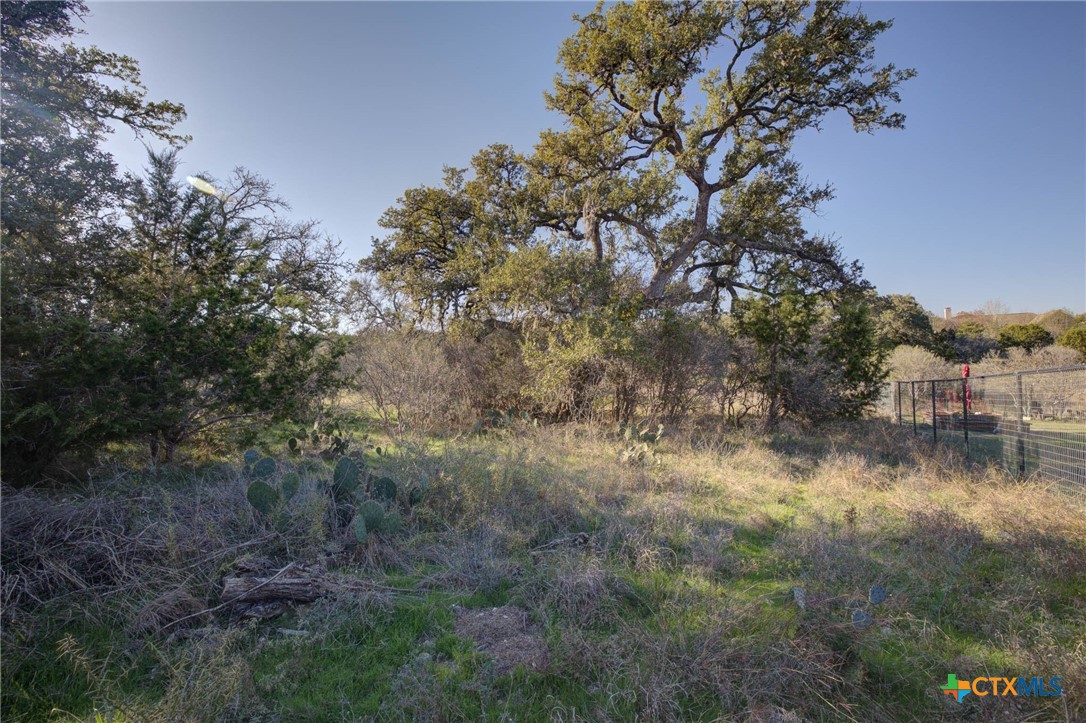 132 Maple Terrace, New Braunfels, TX, 78132 | 566913 | Realty Texas LLC