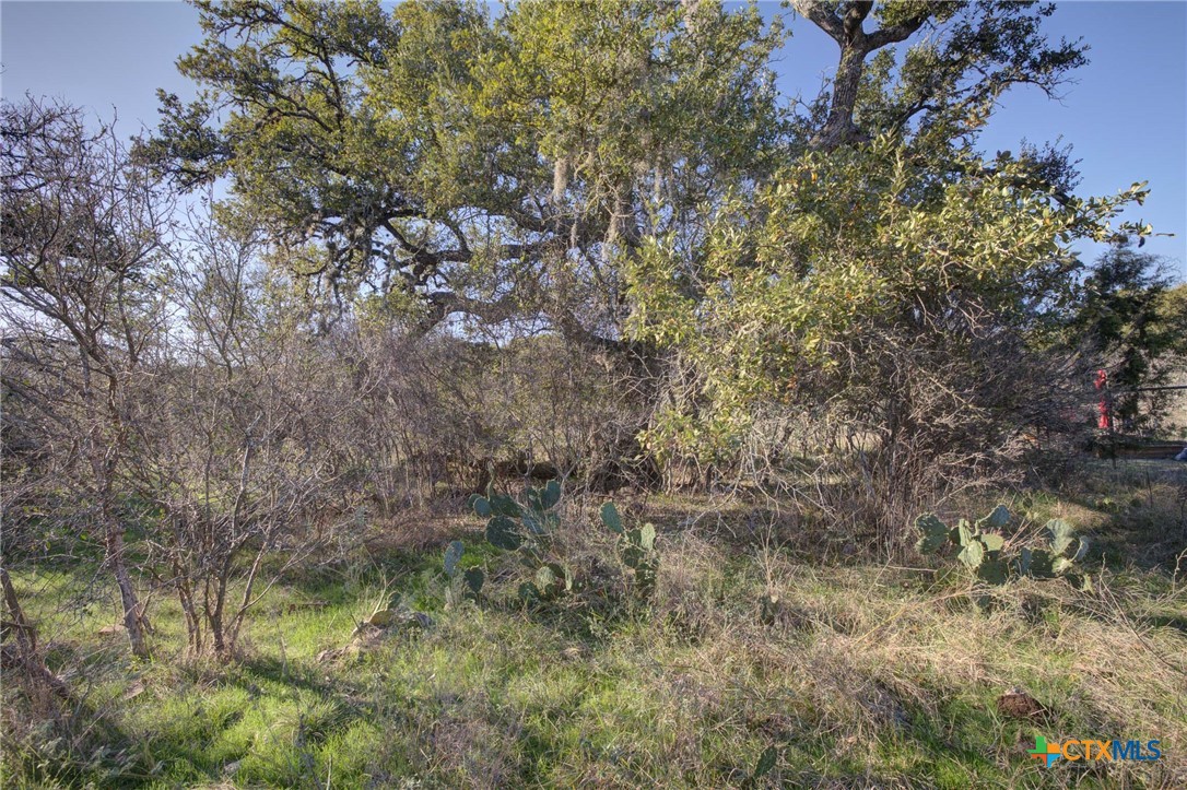 132 Maple Terrace, New Braunfels, TX, 78132 | 566913 | Realty Texas LLC