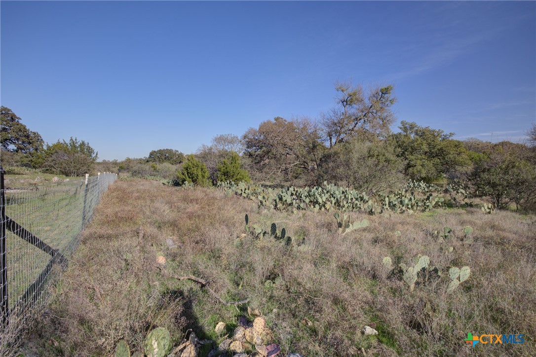 132 Maple Terrace, New Braunfels, TX, 78132 | 566913 | Realty Texas LLC