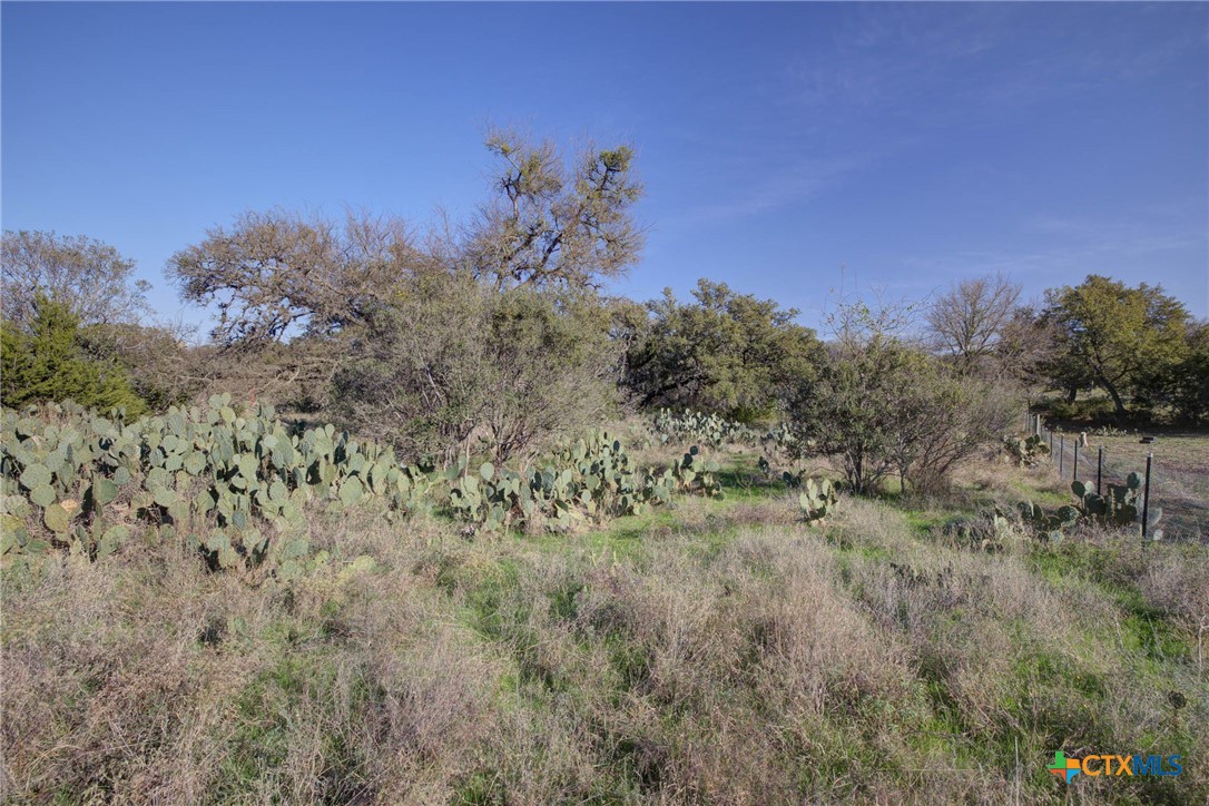 132 Maple Terrace, New Braunfels, TX, 78132 | 566913 | Realty Texas LLC