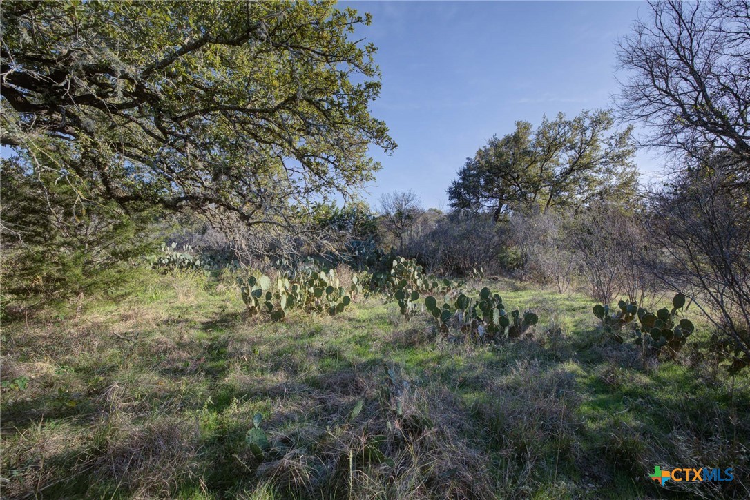 132 Maple Terrace, New Braunfels, TX, 78132 | 566913 | Realty Texas LLC