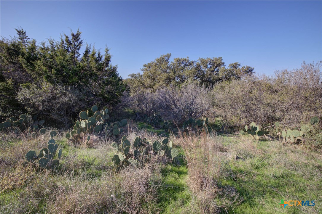 132 Maple Terrace, New Braunfels, TX, 78132 | 566913 | Realty Texas LLC