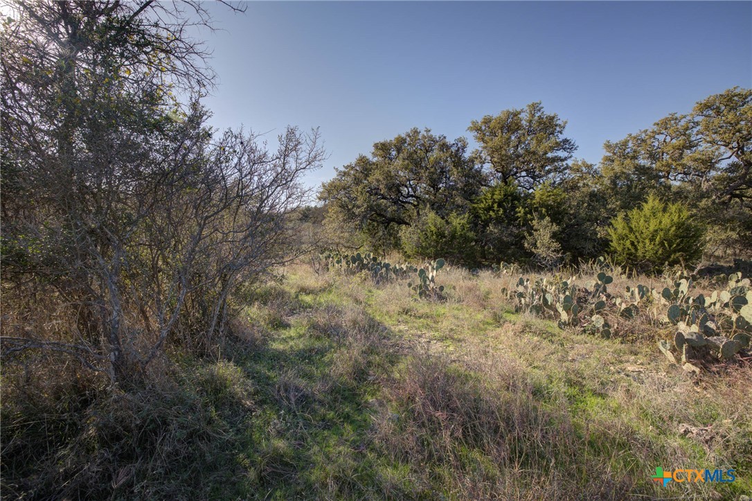 132 Maple Terrace, New Braunfels, TX, 78132 | 566913 | Realty Texas LLC