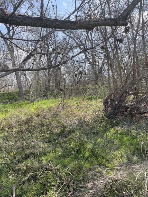 301 FM 1979 , Martindale, TX, 78655 | 227469 | Realty Texas LLC