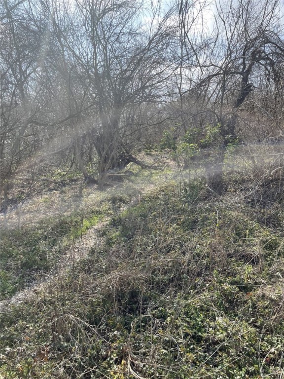 301 FM 1979 , Martindale, TX, 78655 | 227469 | Realty Texas LLC