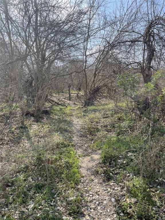 301 FM 1979 , Martindale, TX, 78655 | 227469 | Realty Texas LLC