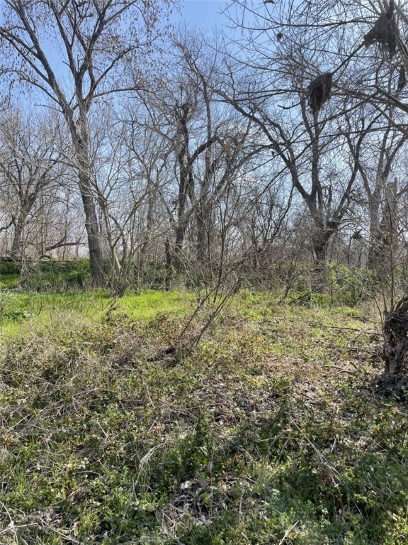 301 FM 1979 , Martindale, TX, 78655 | 227469 | Realty Texas LLC