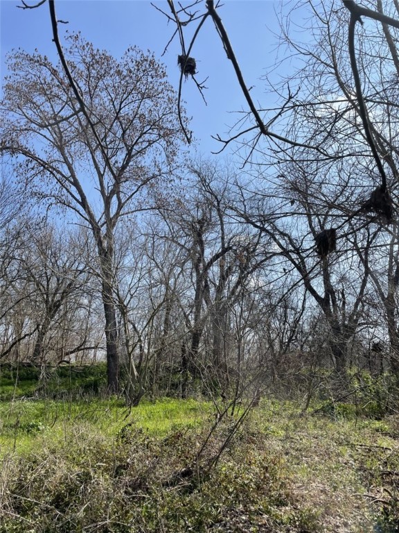 301 FM 1979 , Martindale, TX, 78655 | 227469 | Realty Texas LLC