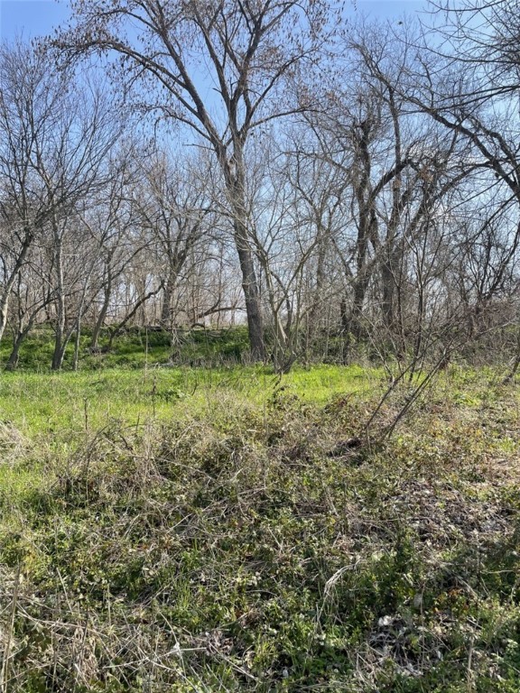 301 FM 1979 , Martindale, TX, 78655 | 227469 | Realty Texas LLC