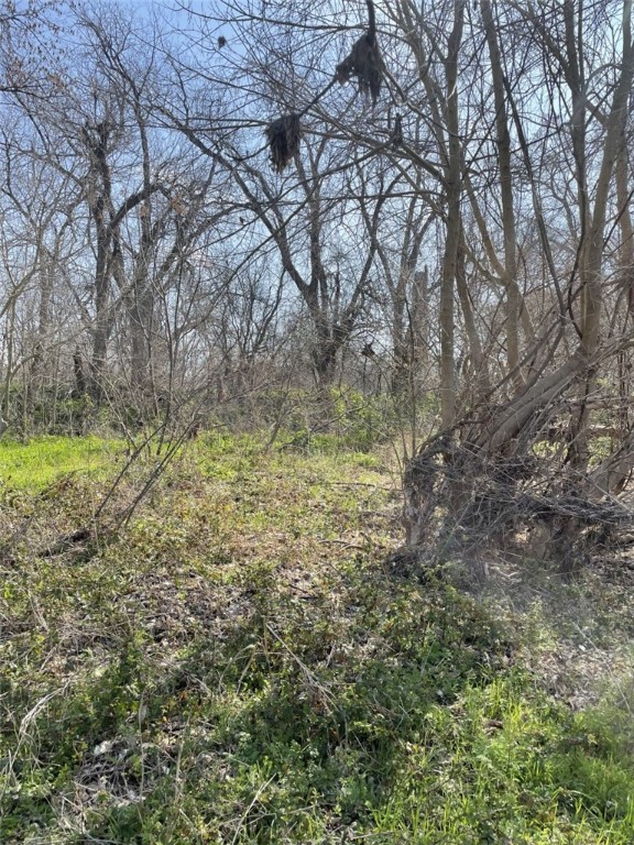 301 FM 1979 , Martindale, TX, 78655 | 227469 | Realty Texas LLC