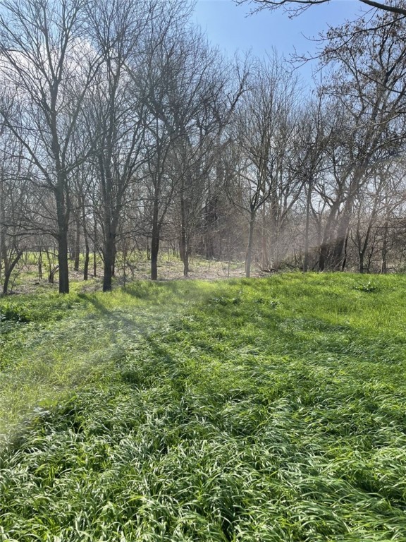 301 FM 1979 , Martindale, TX, 78655 | 227469 | Realty Texas LLC