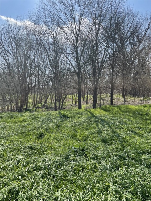 301 FM 1979 , Martindale, TX, 78655 | 227469 | Realty Texas LLC