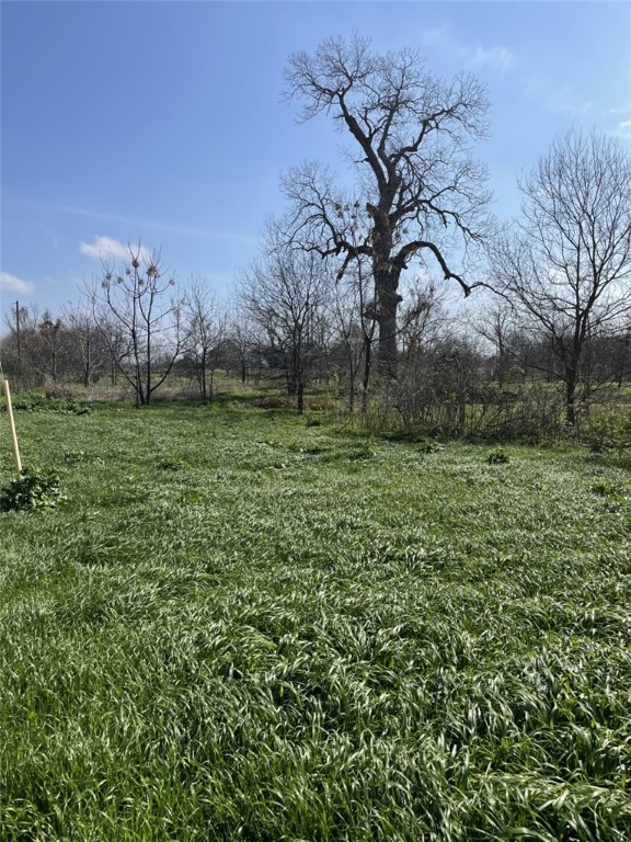 301 FM 1979 , Martindale, TX, 78655 | 227469 | Realty Texas LLC