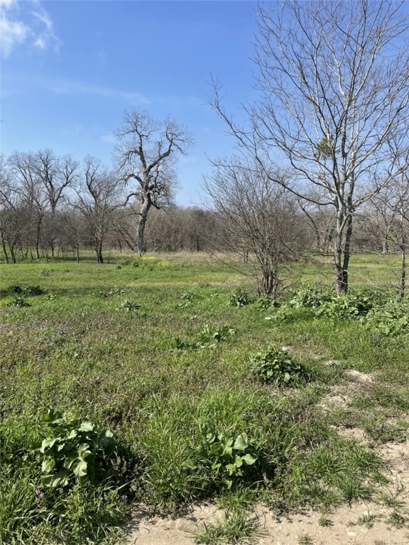 301 FM 1979 , Martindale, TX, 78655 | 227469 | Realty Texas LLC