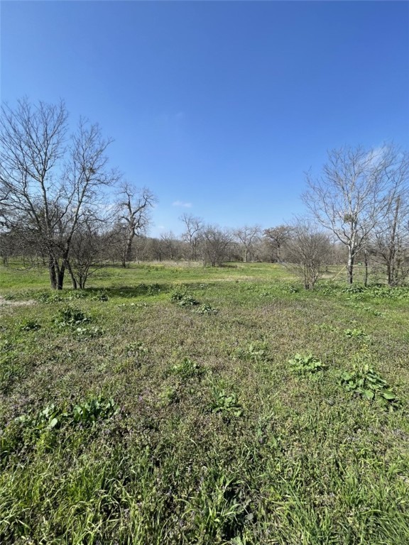 301 FM 1979 , Martindale, TX, 78655 | 227469 | Realty Texas LLC