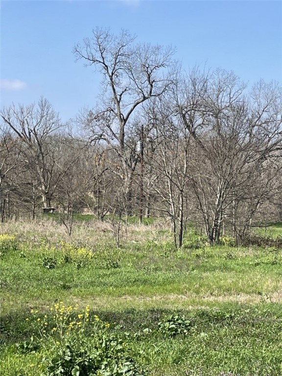 301 FM 1979 , Martindale, TX, 78655 | 227469 | Realty Texas LLC