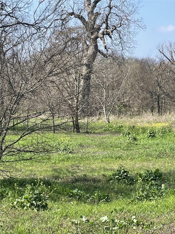 301 FM 1979 , Martindale, TX, 78655 | 227469 | Realty Texas LLC