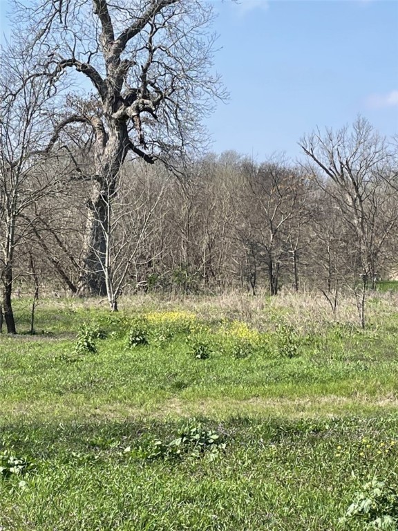 301 FM 1979 , Martindale, TX, 78655 | 227469 | Realty Texas LLC