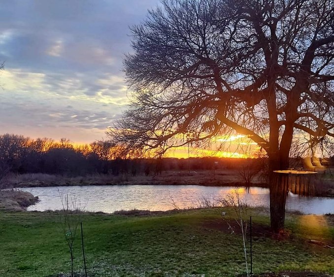 1001 Private Road 5868, Blue Ridge, TX, 75424 | 20816990 | Realty Texas LLC